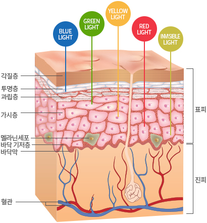 파장 별 LED 광원 효과 이미지