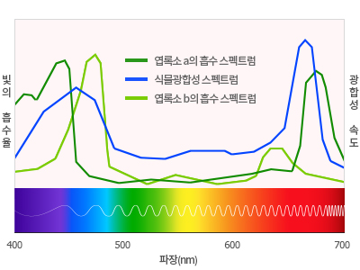 LED Application 이미지