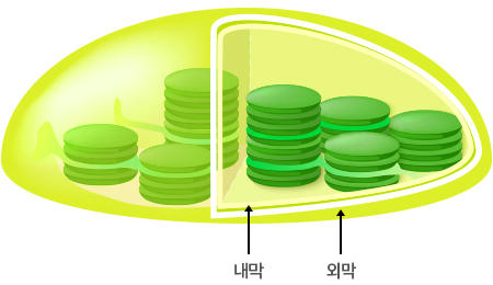 LED Application 이미지