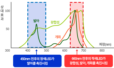 LED Application 이미지