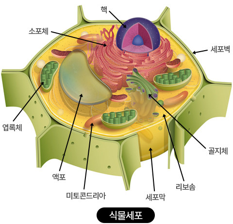 LED Application 이미지