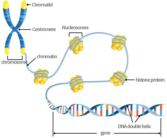 LED Application 이미지