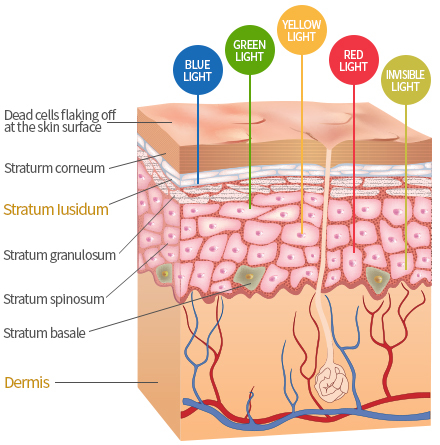파장 별 LED 광원 효과 이미지