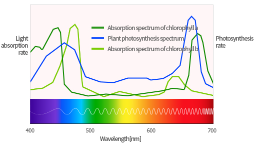 LED Application 이미지