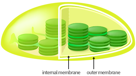 LED Application 이미지