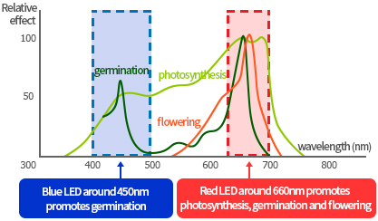 LED Application 이미지