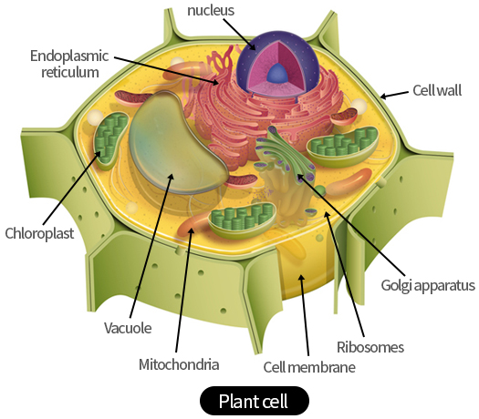 LED Application 이미지